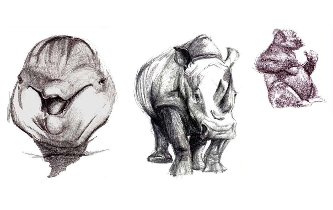 sketches of animals